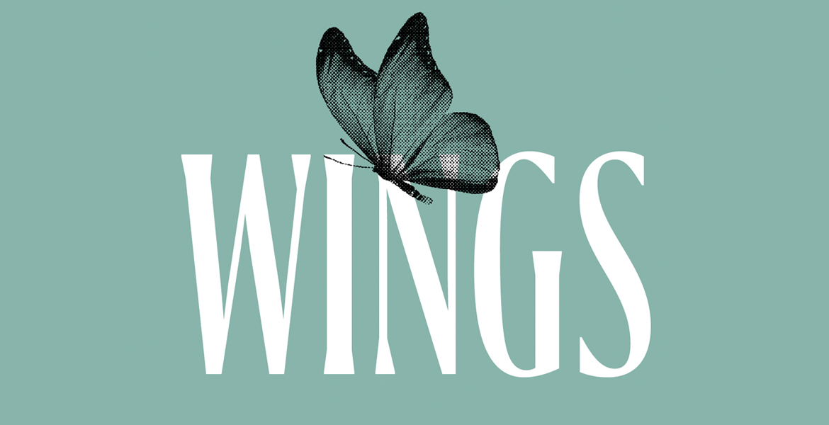 Wings Not Strings